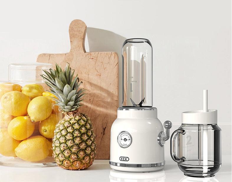 Portable Fuit Juice Extractor Blender