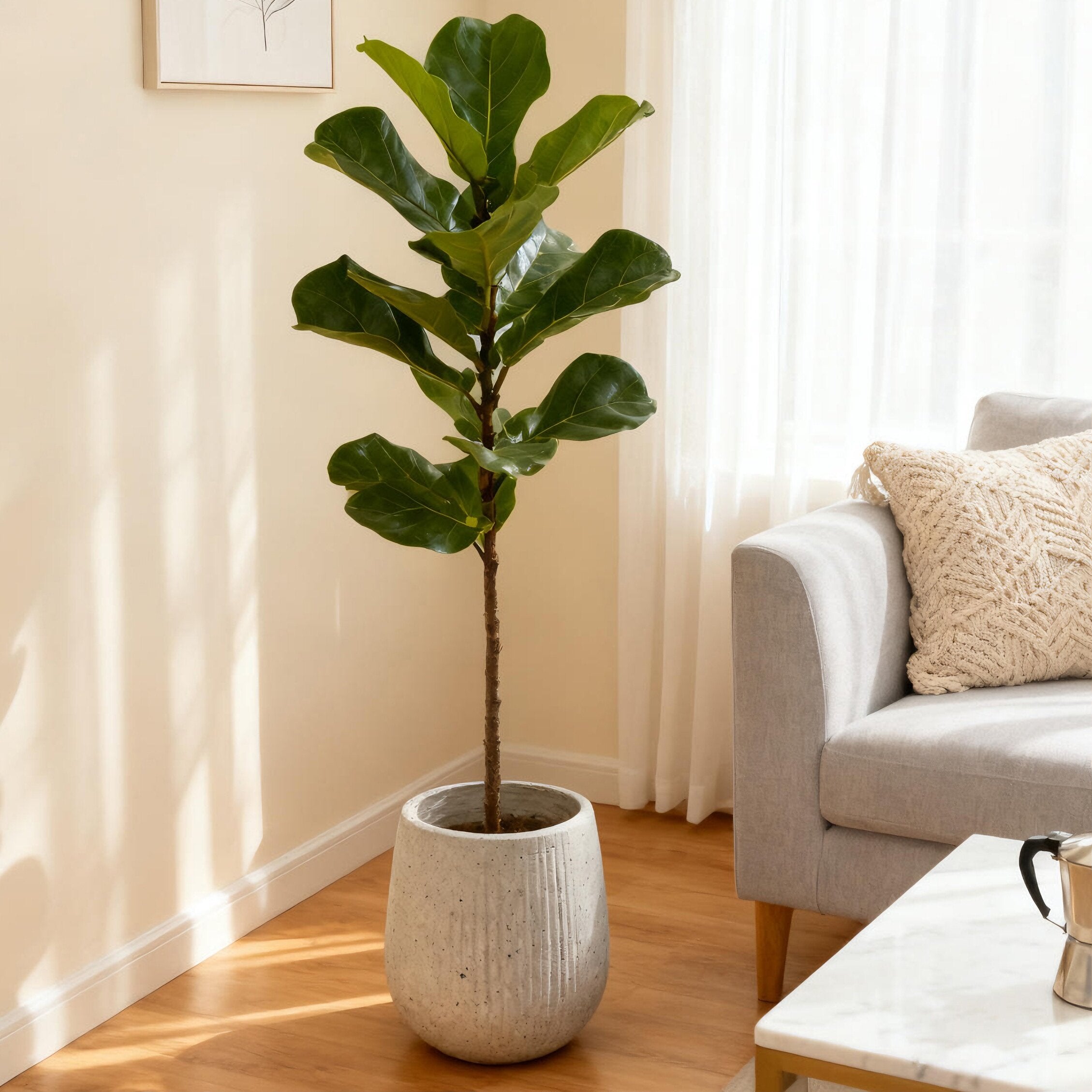 Minimalist Stone Indoor Planter Pot